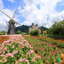 Tranh dán tường cho phòng khách đẹp tại Hà Nội NA - 343